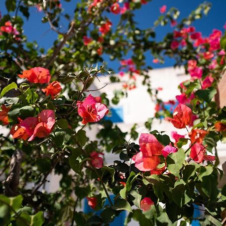 Casa Vacanze 21 Aprile - T كالاسيتا المظهر الخارجي الصورة
